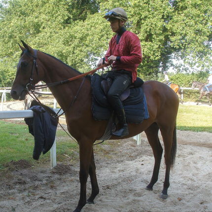 coeur-de-galop-ecurie coeur-de-galop-ecurie