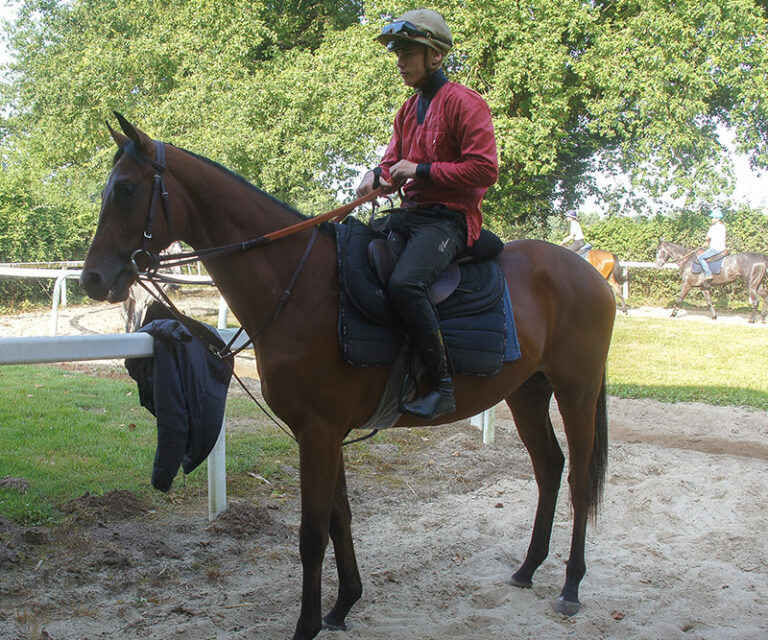 coeur-de-galop-ecurie